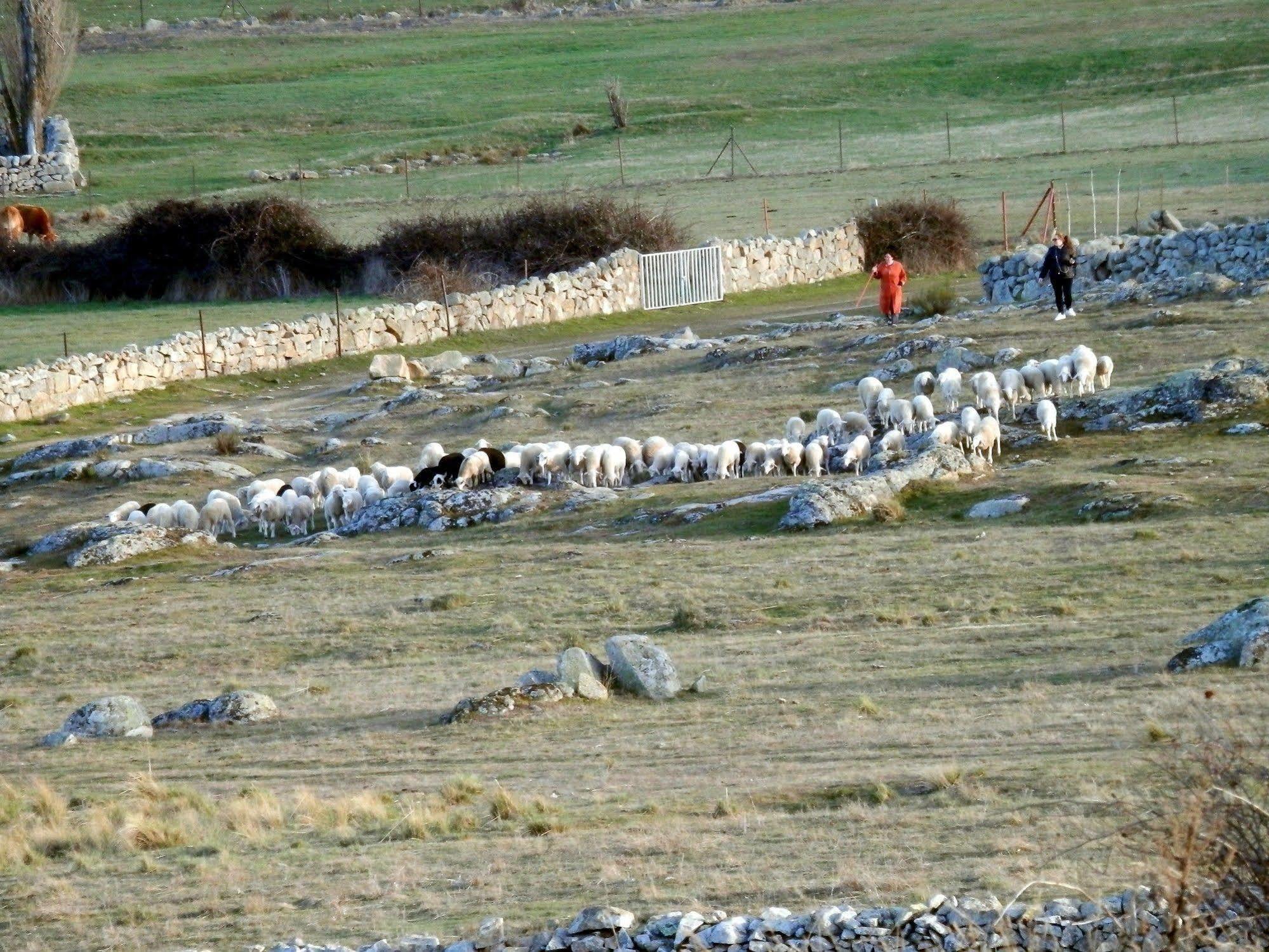 Casa Rural El Dolmen Bernuy-Salinero ภายนอก รูปภาพ
