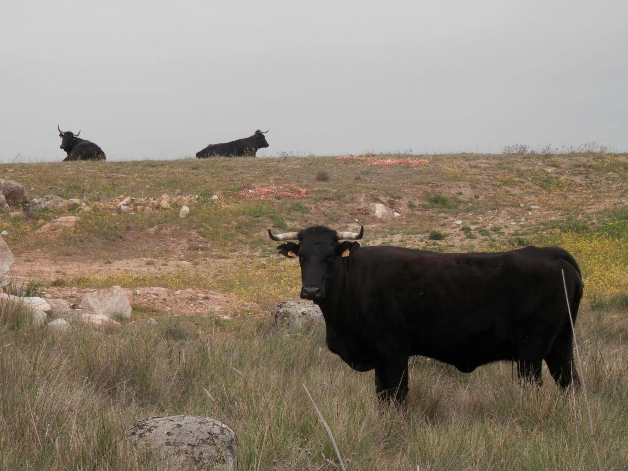 Casa Rural El Dolmen Bernuy-Salinero ภายนอก รูปภาพ